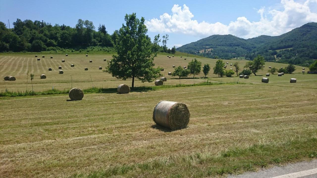 L'Isola Dla Cerrea Panzió Mombasiglio Kültér fotó